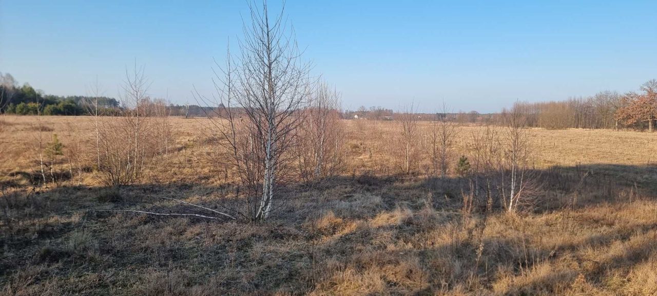 Działka budowlana Deskurów, ul. Wspólna