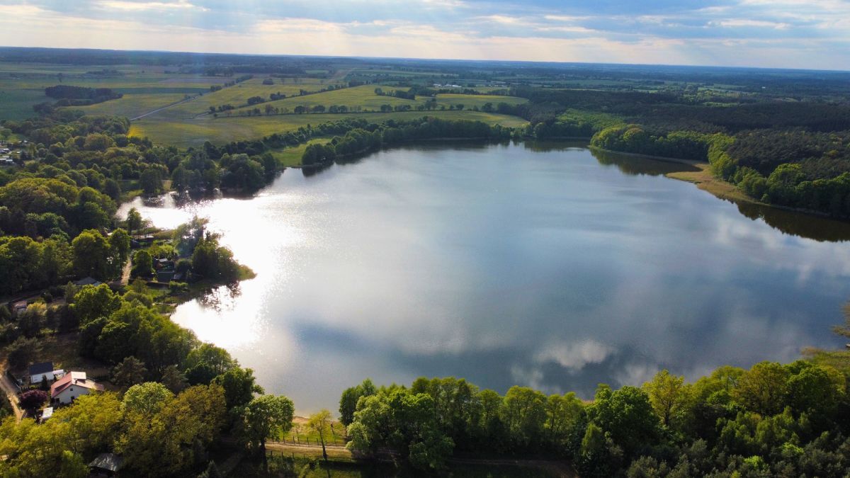 Działka inwestycyjna Psarskie. Zdjęcie 4