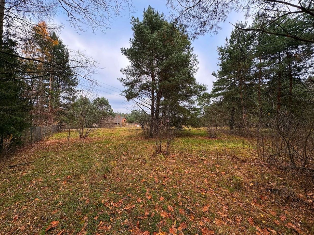 Działka Ruda. Zdjęcie 3