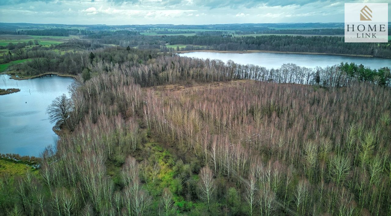 Działka rekreacyjna Stare Miasto. Zdjęcie 11