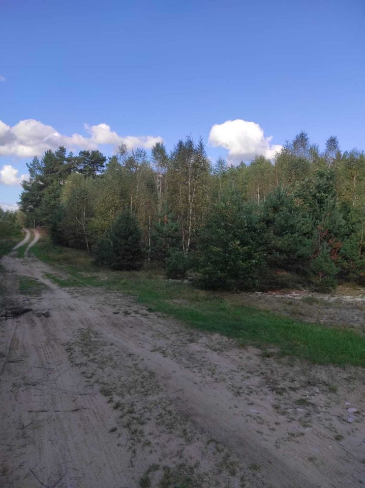 Działka rekreacyjna Konarzyny. Zdjęcie 8