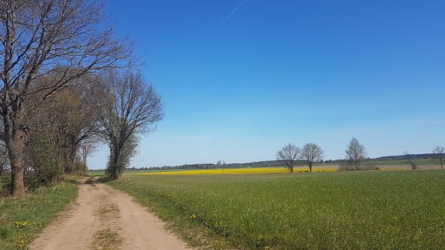 Działka rolna Dargikowo. Zdjęcie 1