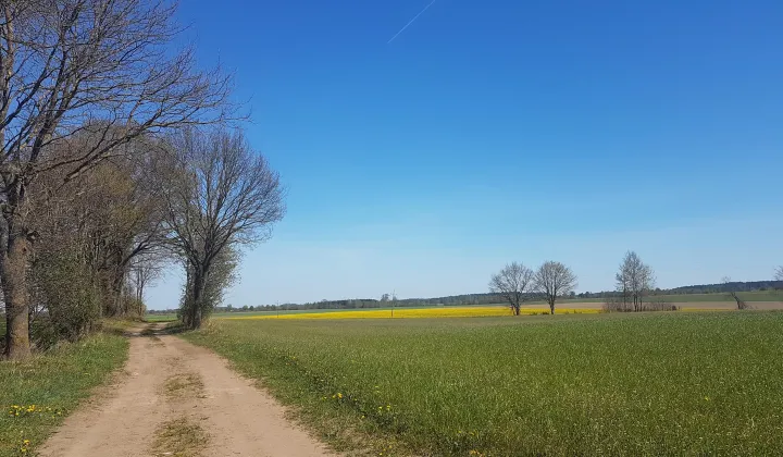 Działka rolna Dargikowo