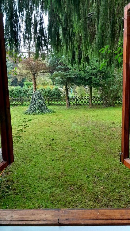 Działka rod Brzezie, ul. Działkowa. Zdjęcie 4