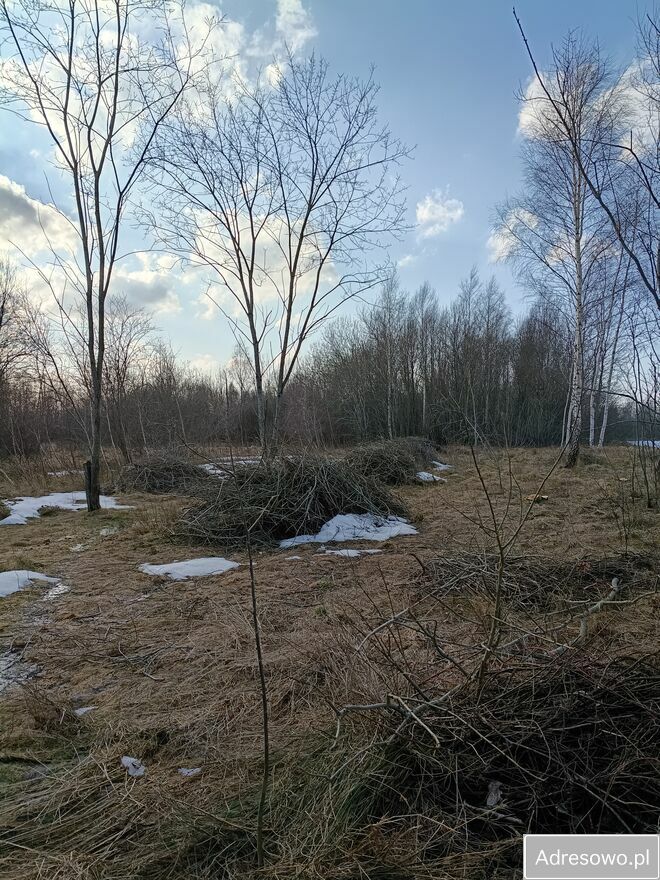 Działka rolna Modlinek. Zdjęcie 8