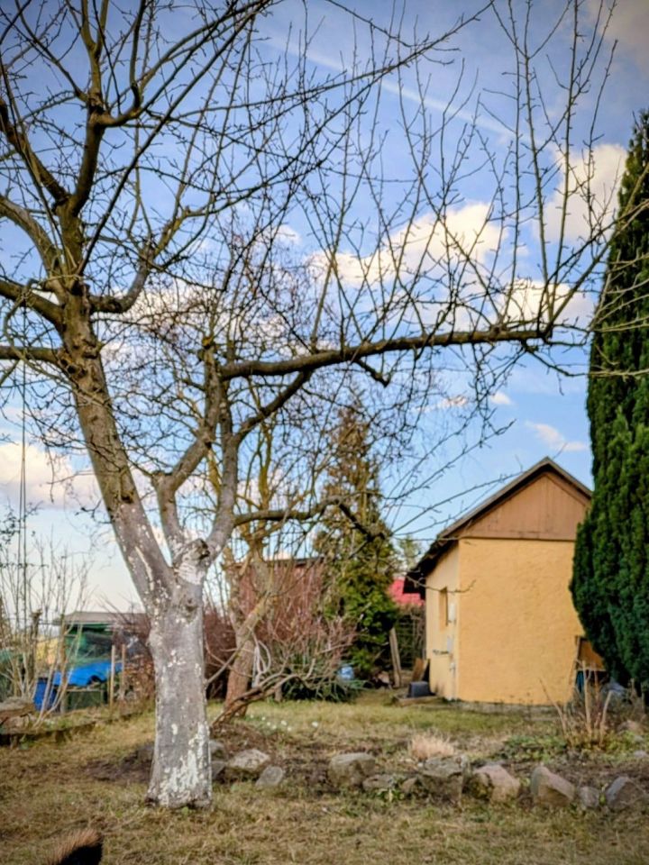 Działka rod Szczecin Zdroje. Zdjęcie 2