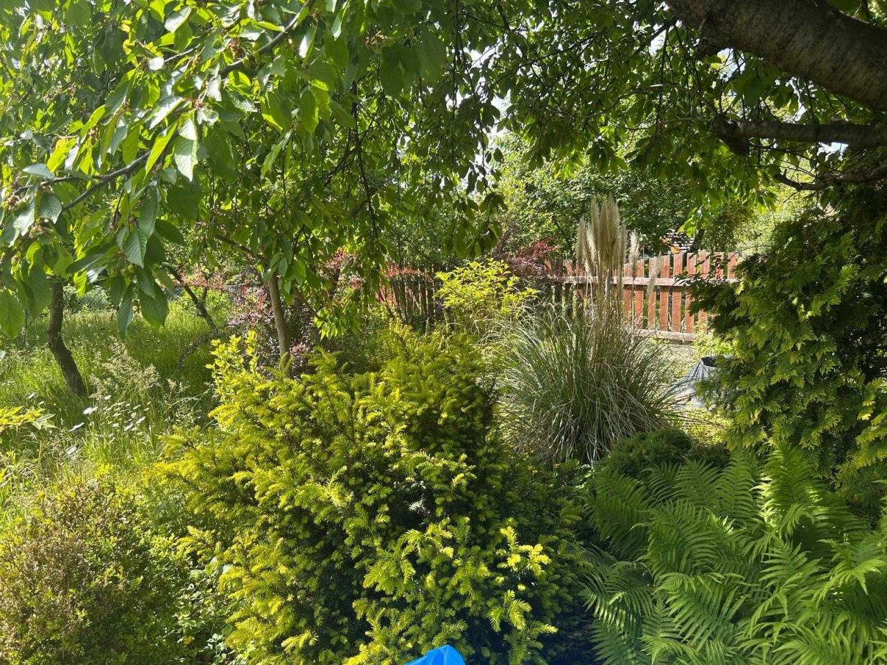 Działka rod Wrocław Ołtaszyn. Zdjęcie 3