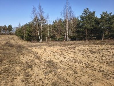 Działka Huta. Zdjęcie 8