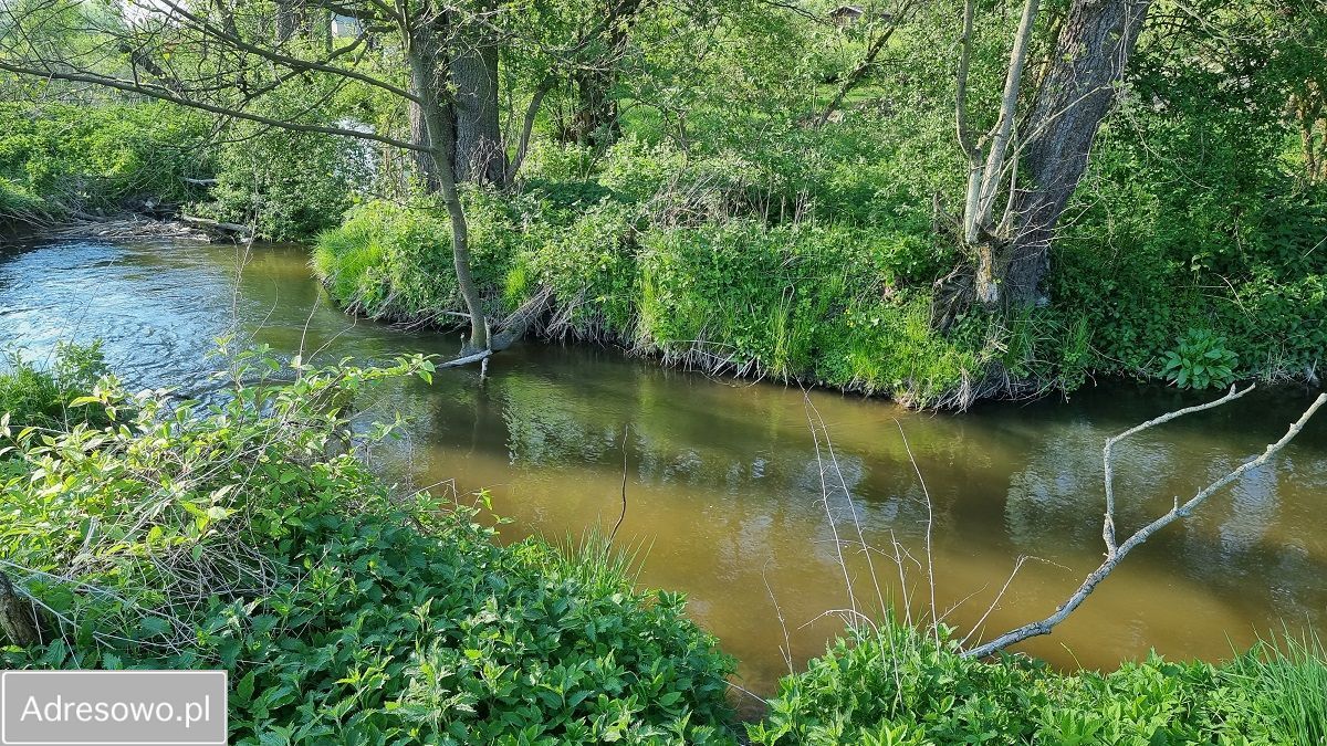 Działka rolna Łąki. Zdjęcie 4