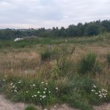 Działka budowlana Szarłata, ul. Łąkowa. Zdjęcie 1