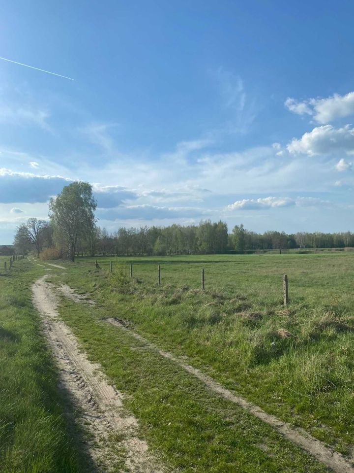 Działka budowlana Białka. Zdjęcie 6