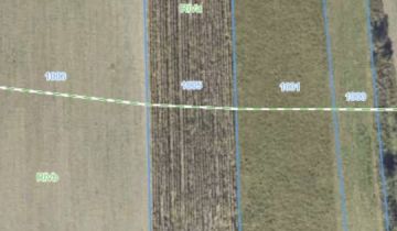 Działka budowlana Dąbie