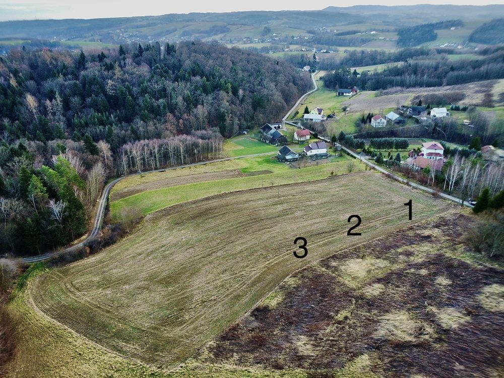 Działka budowlana Wielopole Skrzyńskie. Zdjęcie 6