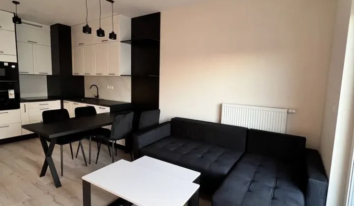 Mieszkanie 2-pokojowe Poznań Centrum, ul. Milczańska