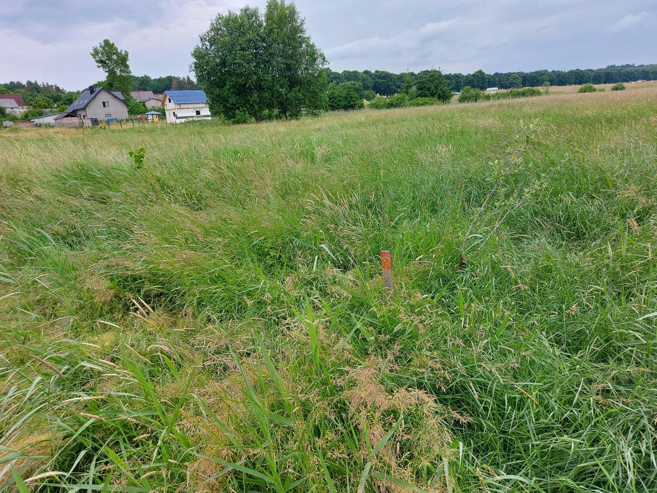 Działka budowlana Mierzyno. Zdjęcie 7