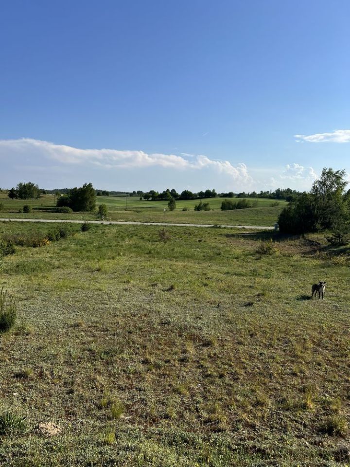Działka budowlana Borek Kamienny. Zdjęcie 3