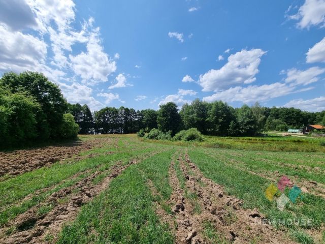 Działka siedliskowa Gil Mały. Zdjęcie 4