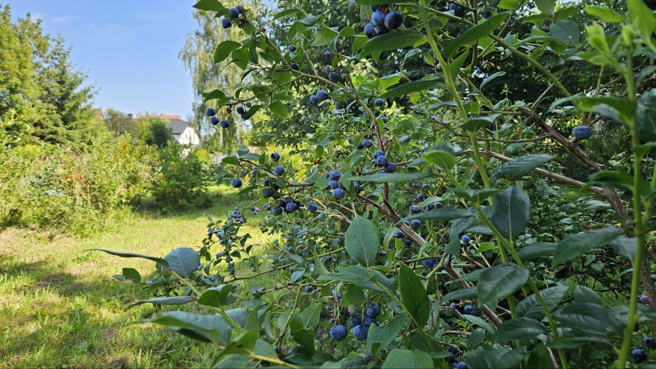 dom wolnostojący, 5 pokoi Wieleń, ul. Drawska. Zdjęcie 9