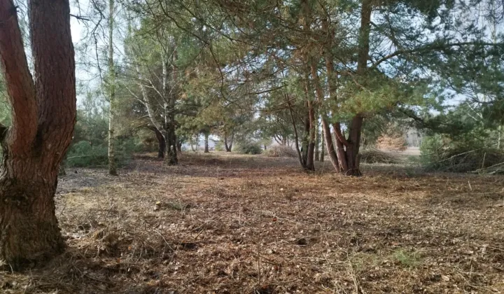 Działka budowlana Łuszczów Pierwszy