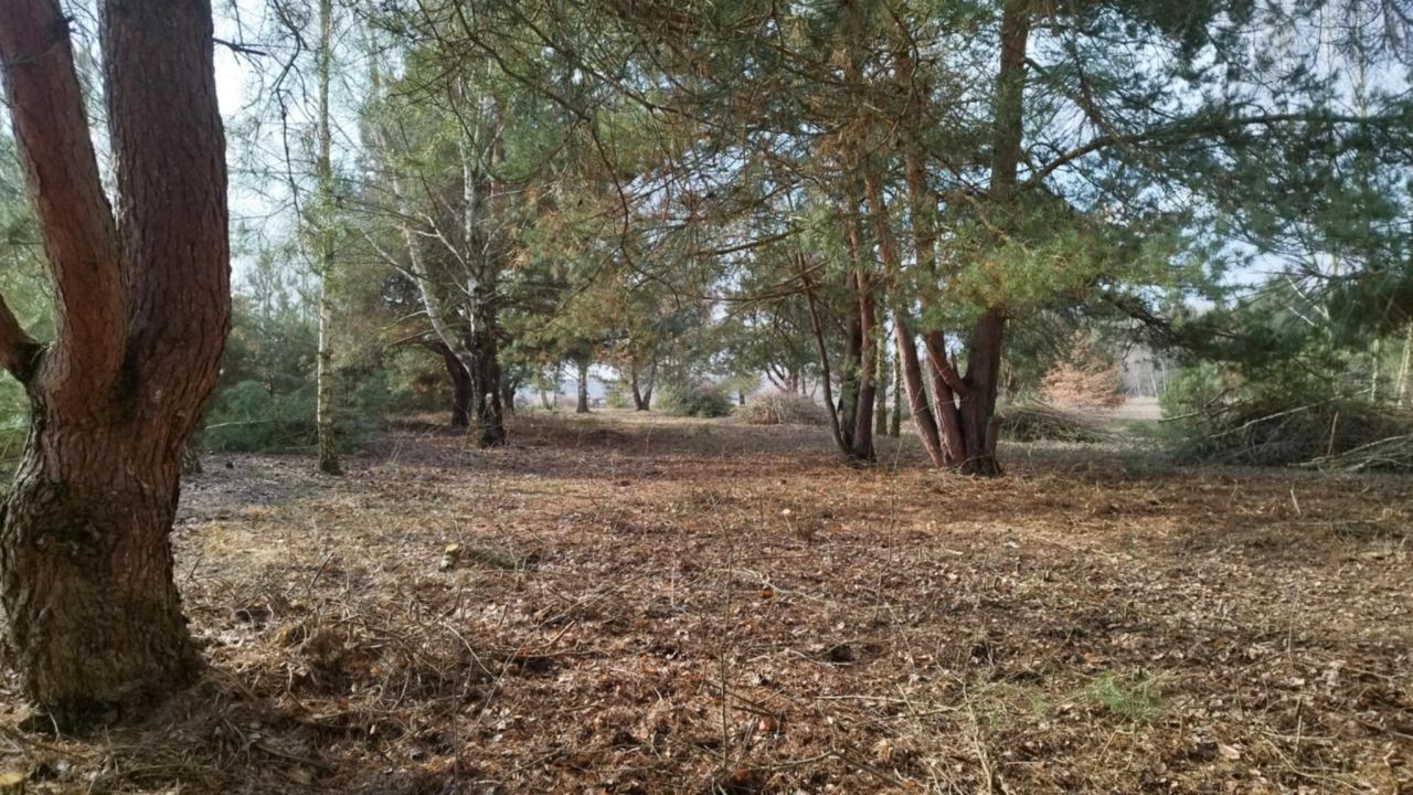 Działka budowlana Łuszczów Pierwszy. Zdjęcie 1