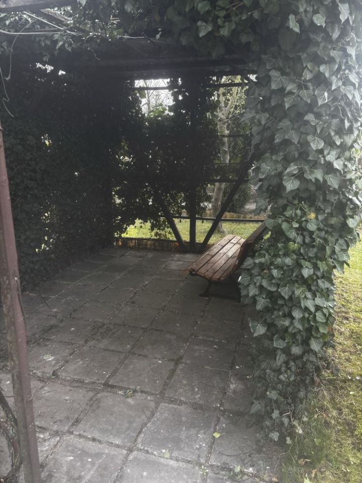 Działka rod Lubin. Zdjęcie 8