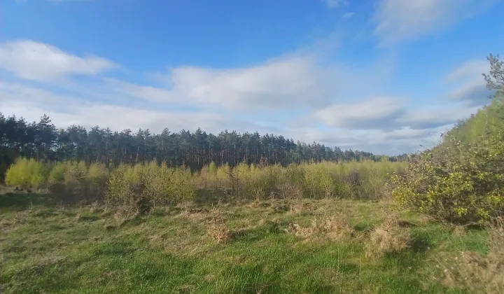 Działka inwestycyjna Rudno Jeziorowe