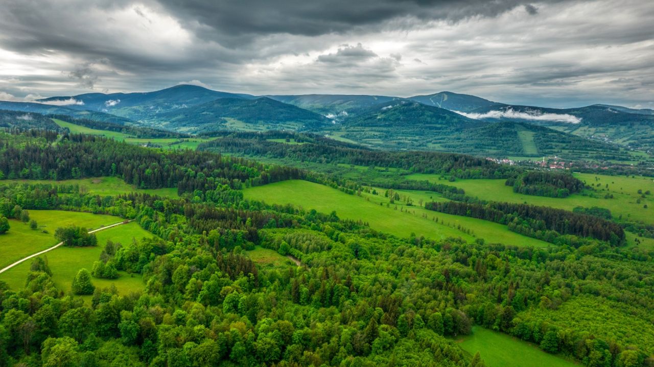 dom wolnostojący, 4 pokoje Goszów. Zdjęcie 43