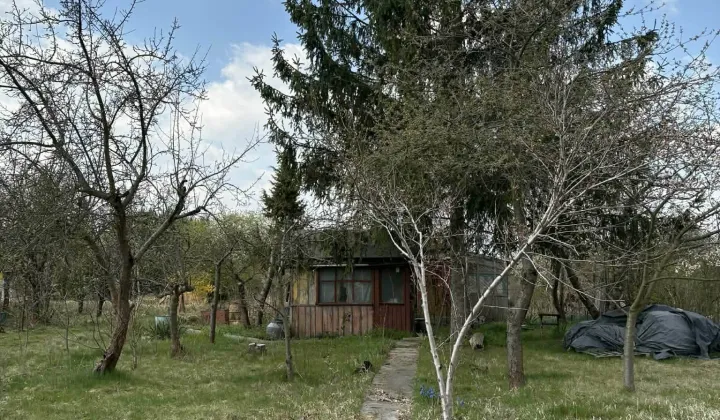 Działka rod Wrocław Jagodno, ul. Terenowa