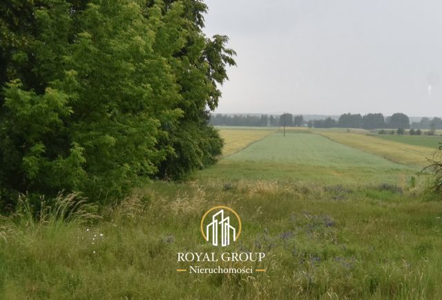 Działka budowlana Ostrówek Kolonia. Zdjęcie 1