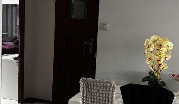 Mieszkanie 3-pokojowe Łojewo