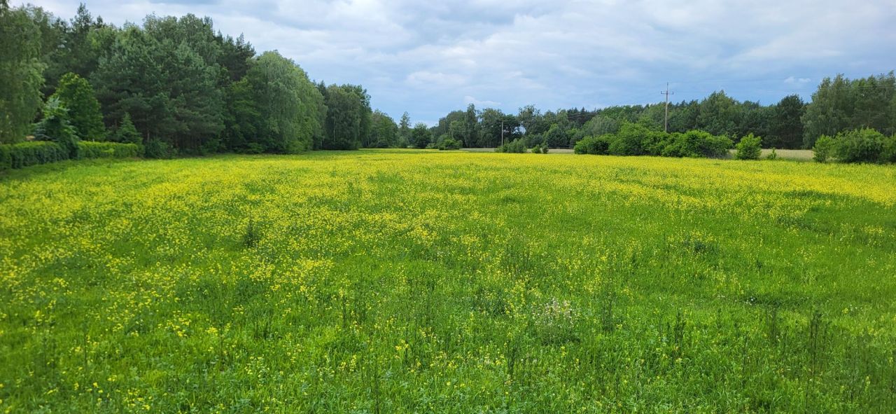 Działka budowlana Grabie. Zdjęcie 7