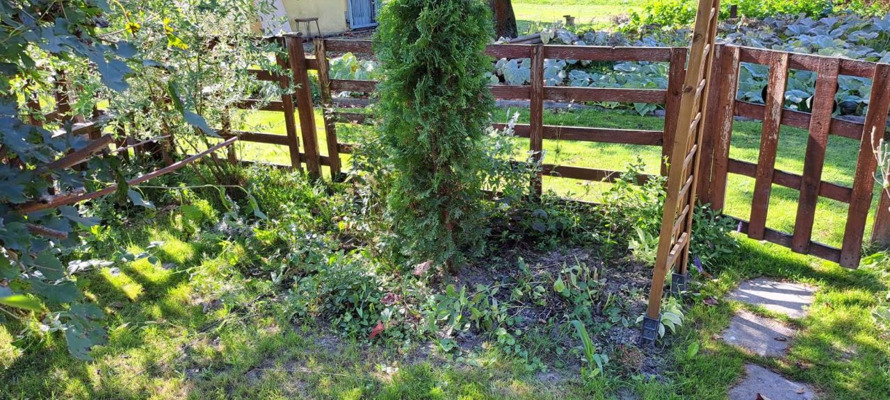 Działka rod Lublin, ul. Wapienna. Zdjęcie 3