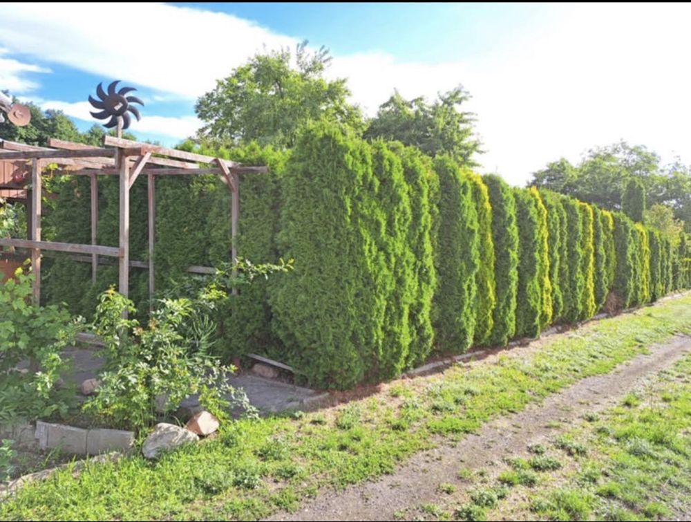 Działka rod Zielęcice. Zdjęcie 8