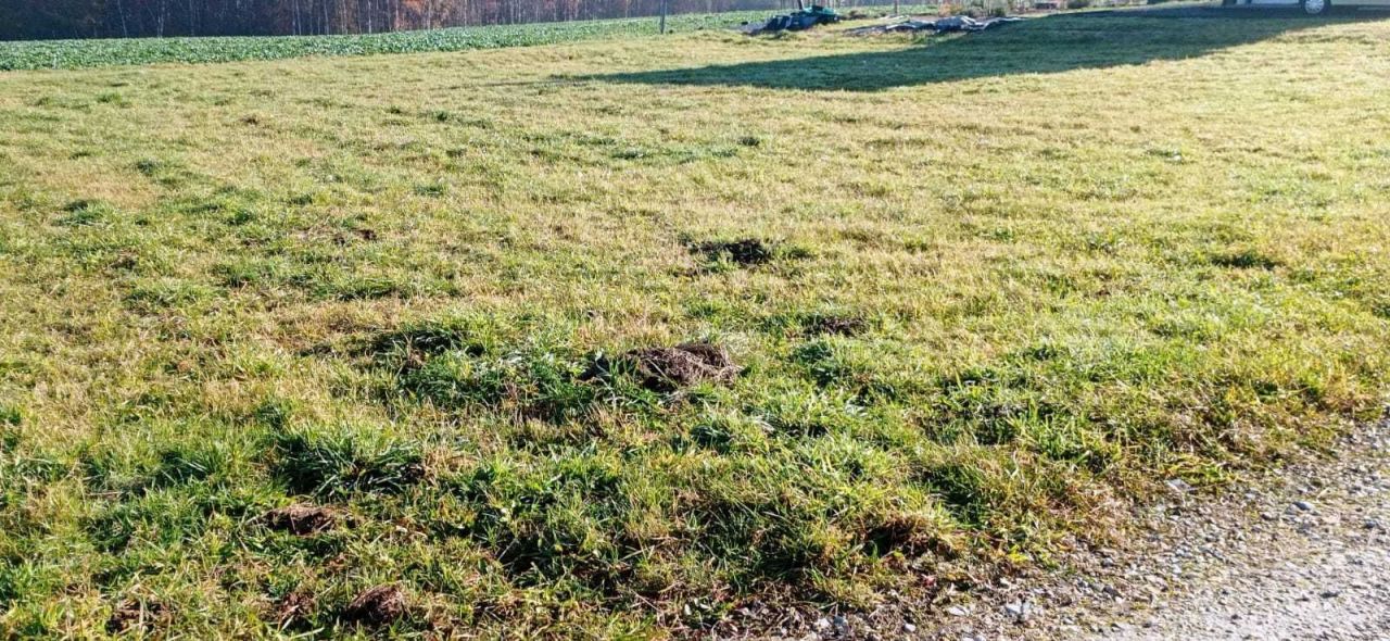 Działka budowlana Inwałd Korcza. Zdjęcie 5
