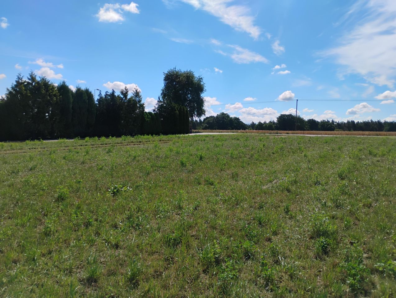 Działka budowlana Ostrowo. Zdjęcie 8
