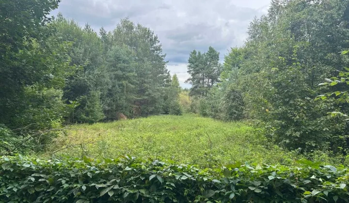 Działka budowlana Worliny