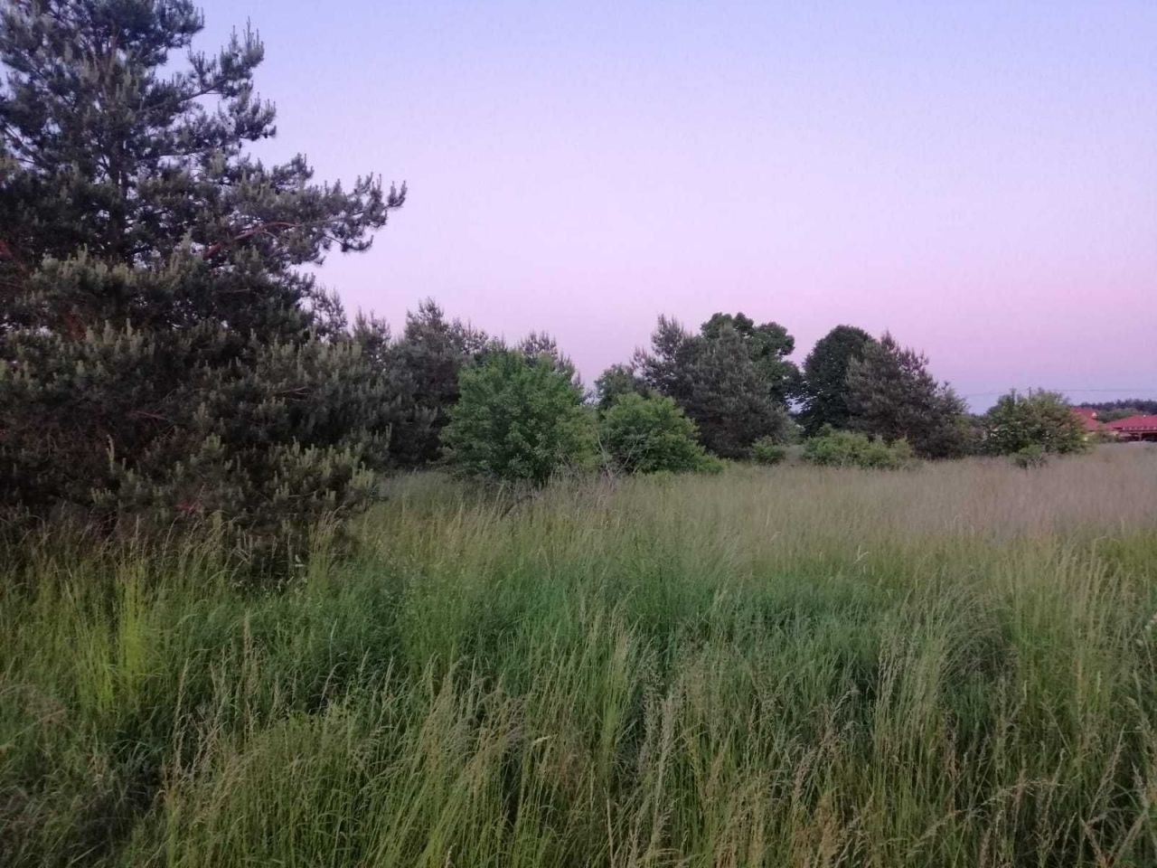 Działka budowlana Łochowice. Zdjęcie 3