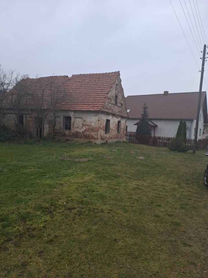 gospodarstwo Magnuszowice. Zdjęcie 4