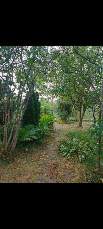 Działka rod Kraków Mistrzejowice, ul. Łęgowa. Zdjęcie 2