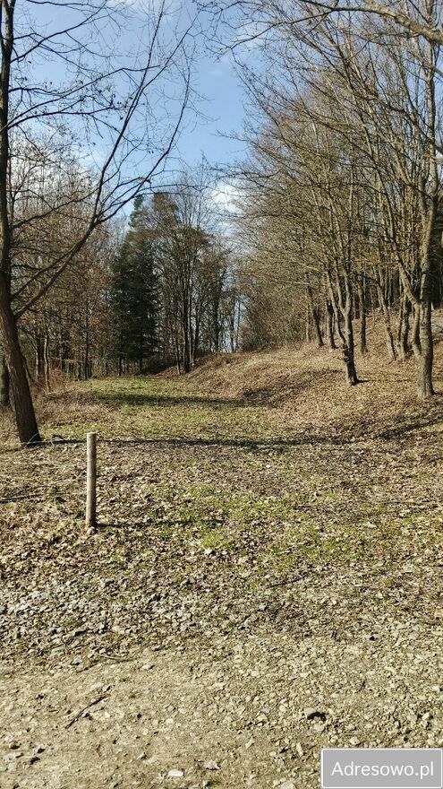 Działka rekreacyjna Turze Pole. Zdjęcie 2