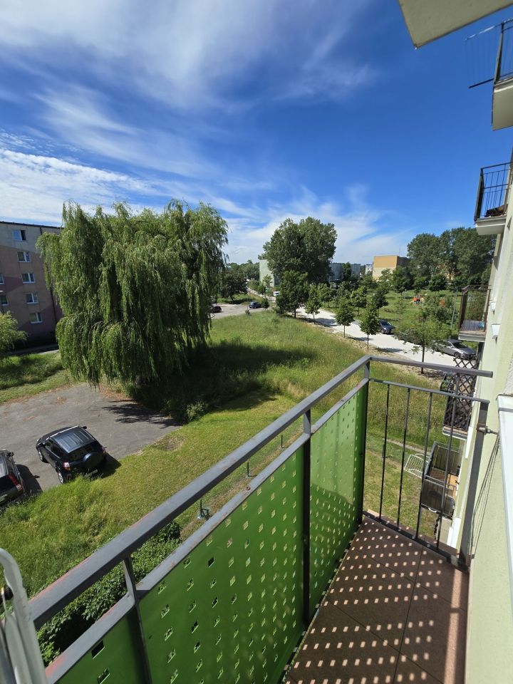Mieszkanie 1-pokojowe Gdańsk Brzeźno, ul. Ksawerego Dunikowskiego. Zdjęcie 7