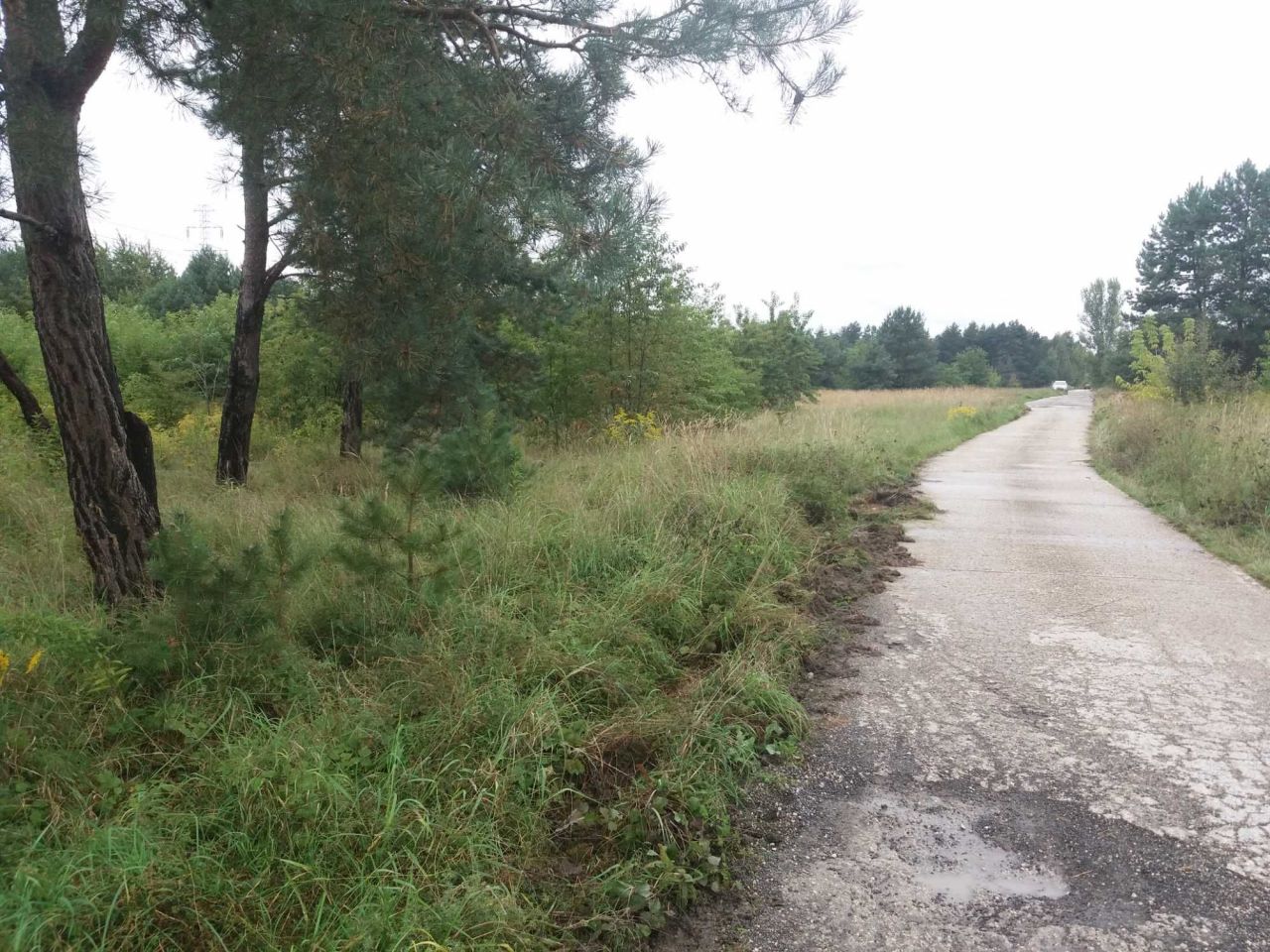 Działka inwestycyjna Ostrowiec Świętokrzyski, ul. Rudzka. Zdjęcie 5