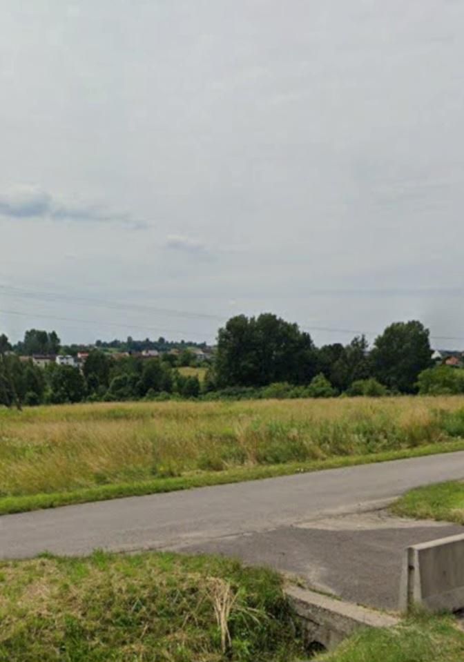 Działka rolna Krzykawa. Zdjęcie 4