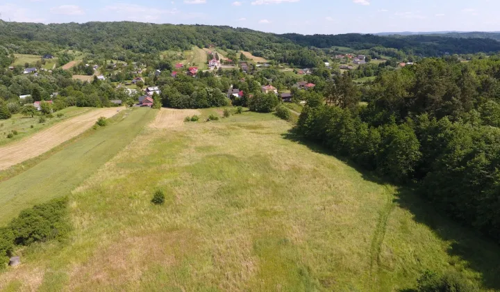 Działka rolna Nienadowa