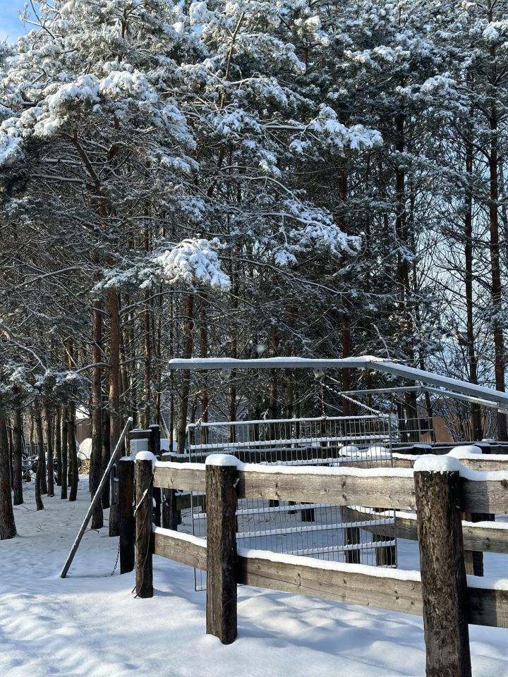 gospodarstwo, 4 pokoje Czarnybród. Zdjęcie 3