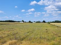 Działka rolna Joniec-Kolonia. Zdjęcie 3