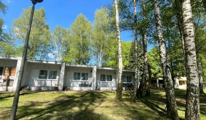 Nieruchomość komercyjna Mikorzyn