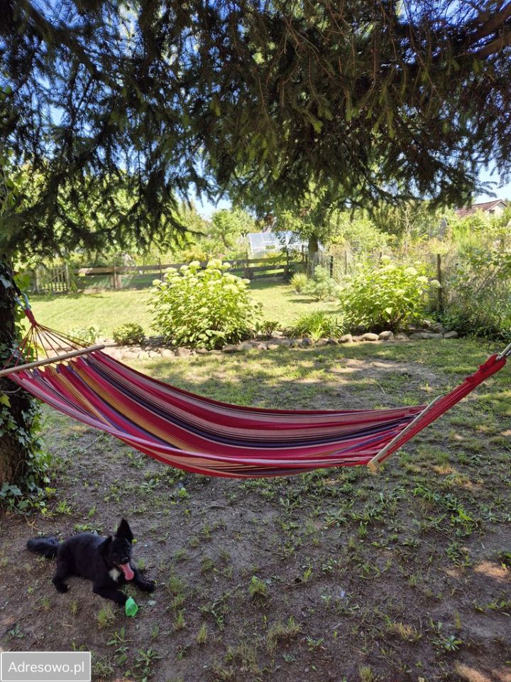 Mieszkanie 3-pokojowe Krosno Odrzańskie, ul. Mikołaja Kopernika. Zdjęcie 9