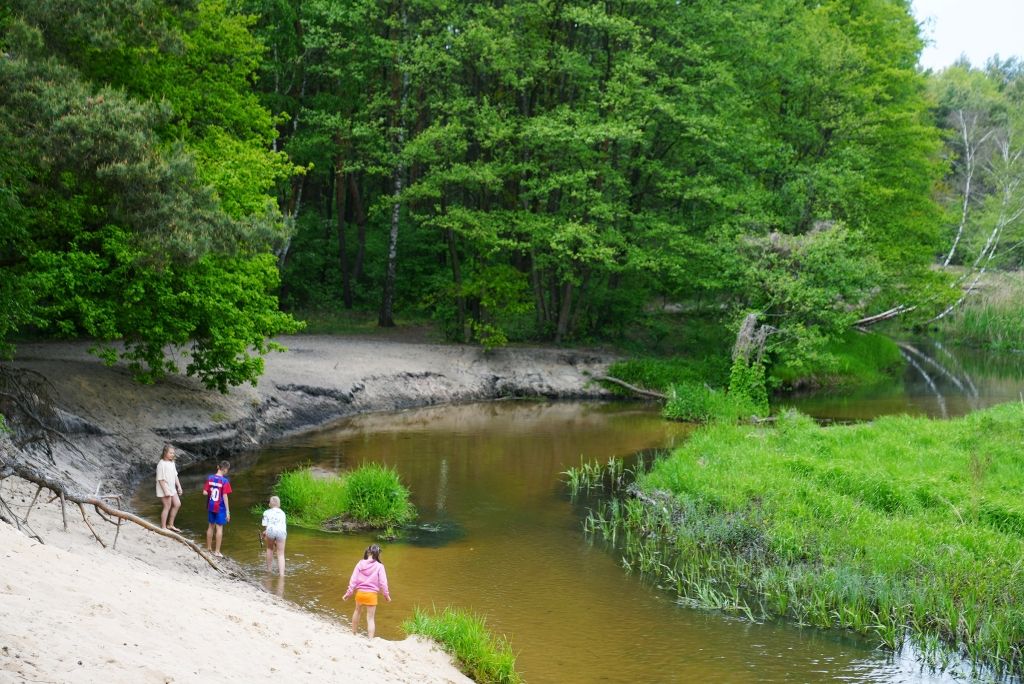Działka budowlana Nowe Kozuby. Zdjęcie 11