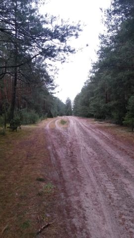 Działka leśna Siemiatycze-Stacja, Droga krajowa 19. Zdjęcie 3